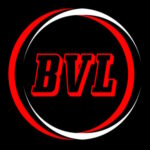 Logo für Gruppe Black Viper Logistics